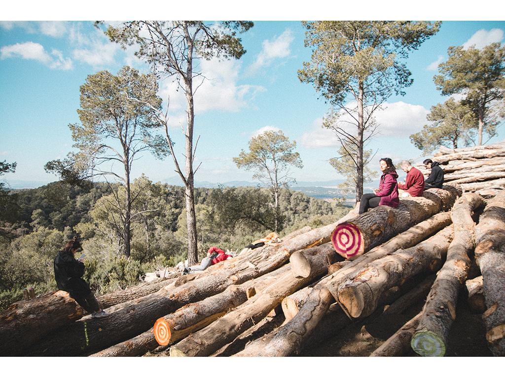 3_Sustainably Harvested, Fully Traceable Timber from the Surrounding Valldaura Estate Forest_1024 x 768 @ 72 DPI