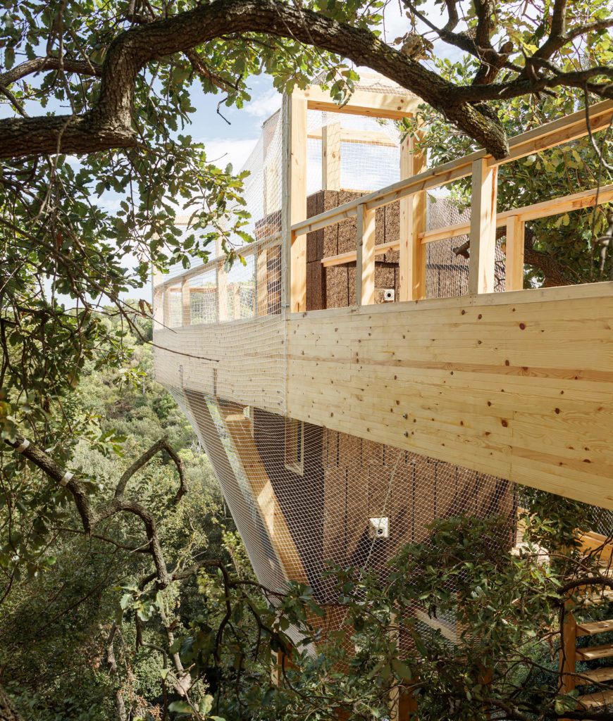 FLORA: IAAC build an observatory in Barcelona’s Forest to monitor nature from within